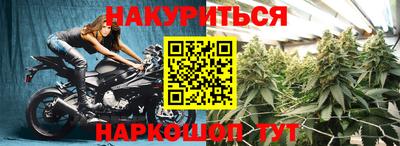 гашик Новозыбков
