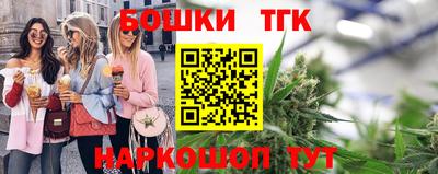 гашик Новозыбков