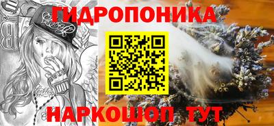 гашик Новозыбков