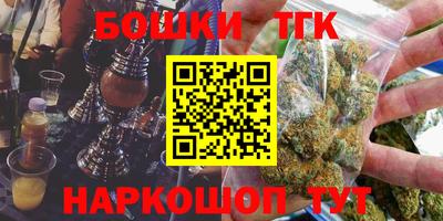 гашик Новозыбков