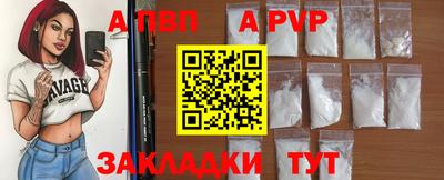 гашик Новозыбков