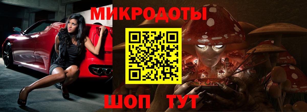 Тимашёвск  Галлюциногенные грибы GOLDEN TEACHER  Галлюциногенные грибы Magic Shrooms  Вход с VPN 